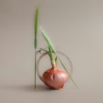 patricia losa consultoria de marketing